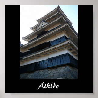 Aikido Japanese Martial Art Poster