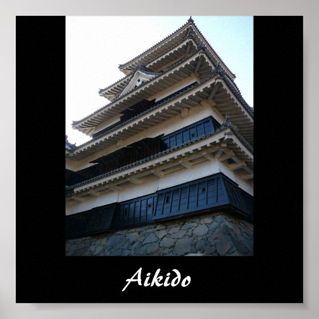 Aikido Japanese Martial Art Poster (Front)