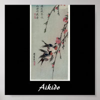 Aikido Japanese Martial Art