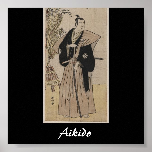 Aikido Japanese Martial Art Poster (Front)