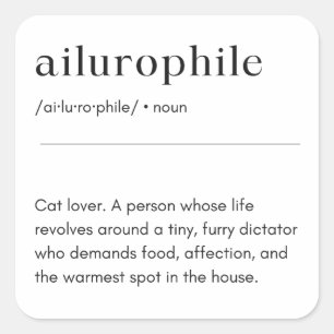 Ailurophile Definition - Cat Lover Square Sticker