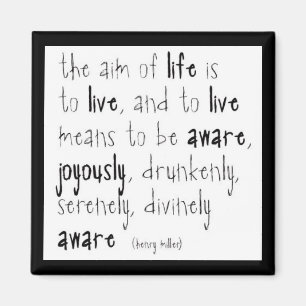 "Aim Of Life" Magnet