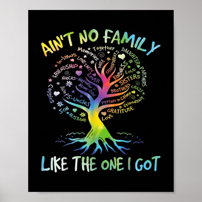 Ain't No Family Like The One I Got Matching Fa Poster (Front)