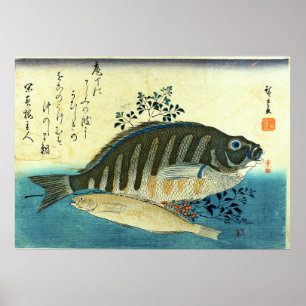 Ainame & Shima-hata - Colourful Japanese Fish Poster