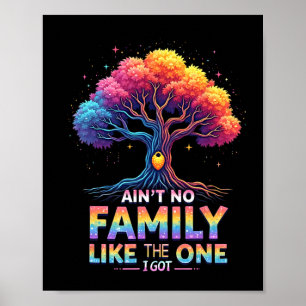 Ain't No Family Like The One I Got Family Reunion  Poster