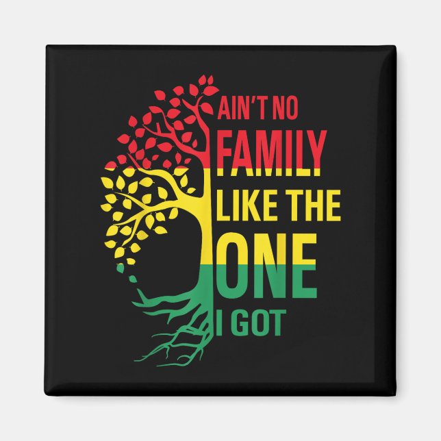 Ain't No Family Like The One I Got Funny Family Re Magnet (Front)