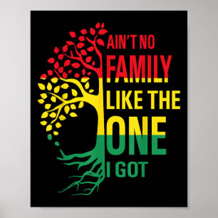 Ain't No Family Like The One I Got Funny Family Re Poster