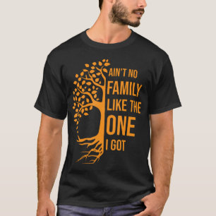 Ain'T No Family Like The One I Got Funny Family Re T-Shirt