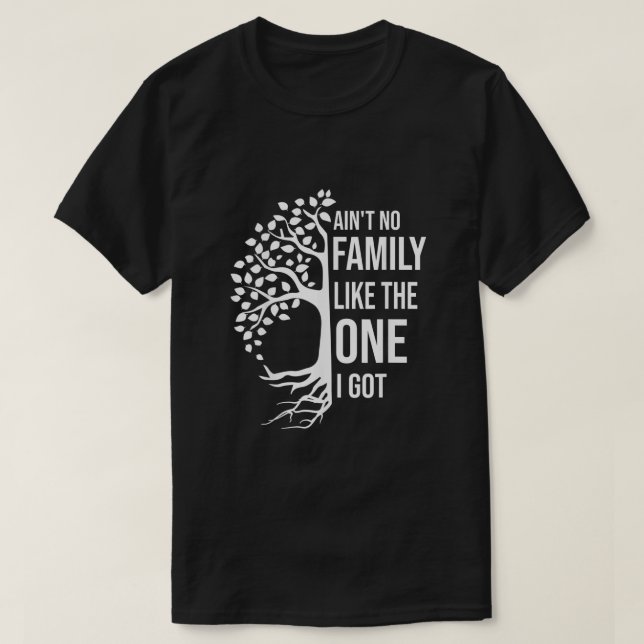 Aint No Family Like The One I Got Funny Family Reu T-Shirt (Design Front)