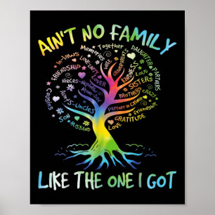 Aint No Family Like The One I Got Matching Family  Poster
