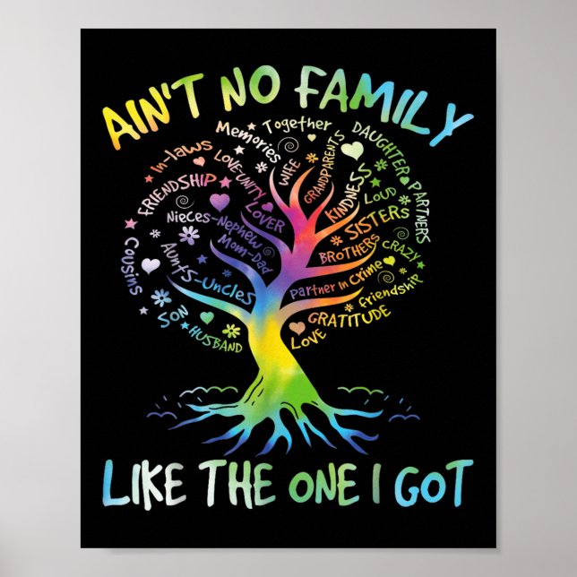 Aint No Family Like The One I Got Matching Family  Poster (Front)
