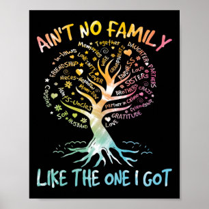 Ain't No Family Like The One I Got Tie Dye Family Poster