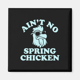 Ain't No Spring Chicken Funny Design  Magnet