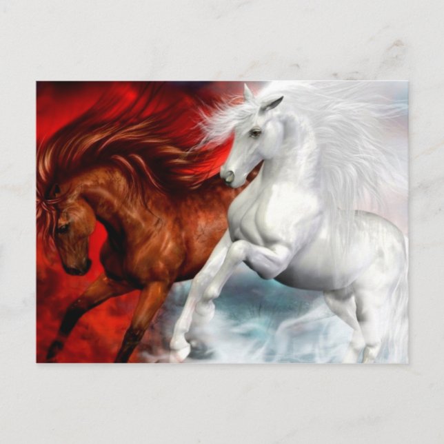 air and fire horses postcard (Front)