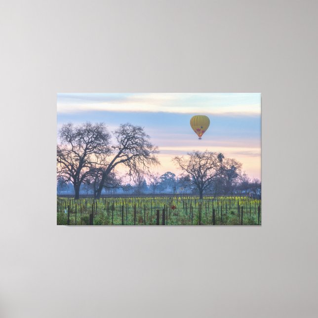 Air Balloon over Vineyard Canvas Print (Front)