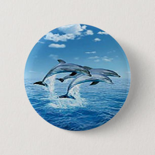 Air Dolphins Button