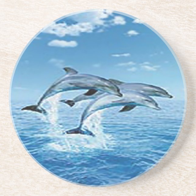 Air Dolphins Coaster (Front)