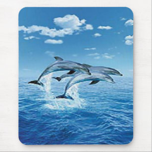 Air Dolphins Mouse Pad