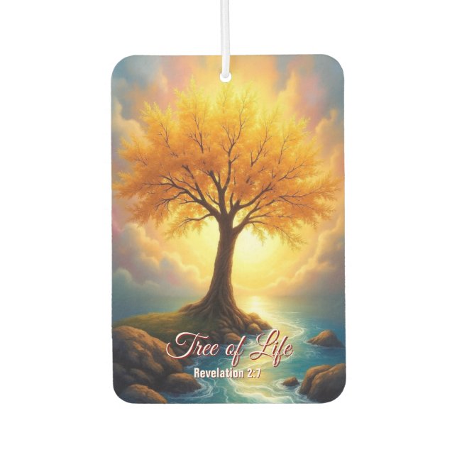 Air Freshener (Front)