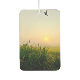 air freshener