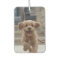 Air Freshener | Your Dog 2 Photo Upload Design
