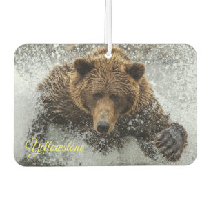 Air Freshner-Yellowstone Bear Car Air Freshener