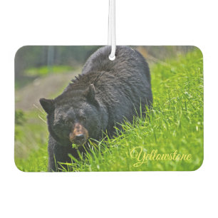 Air Freshner-Yellowstone Bear Car Air Freshener