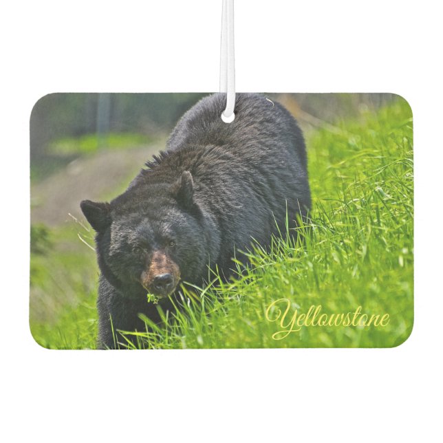 Air Freshner-Yellowstone Bear Car Air Freshener (Front)