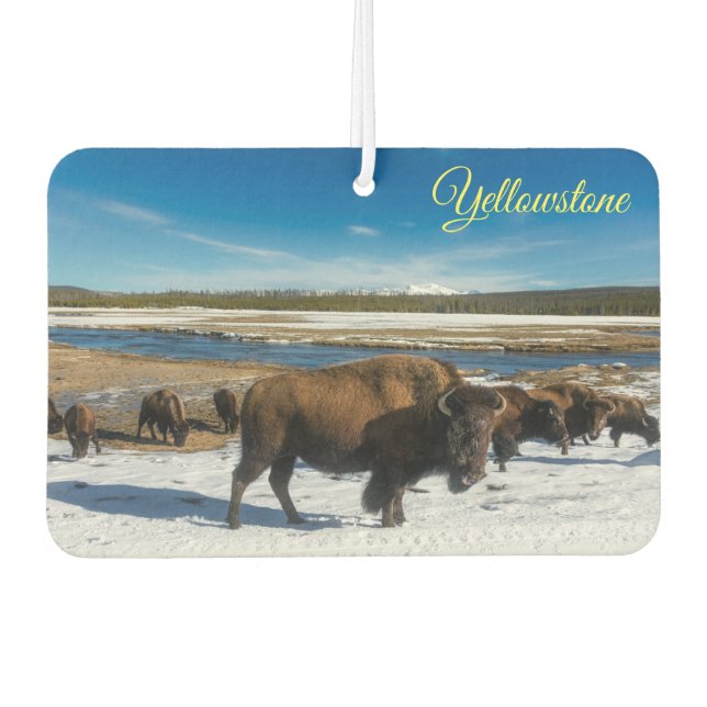 Air Freshner-Yellowstone Buffalo Car Air Freshener (Front)