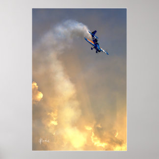 Air Guard Beauty Poster