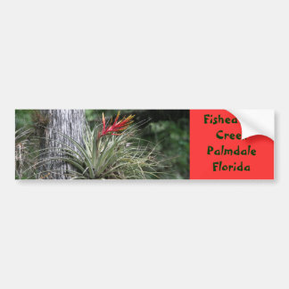 Air plant bumpersticker bumper sticker