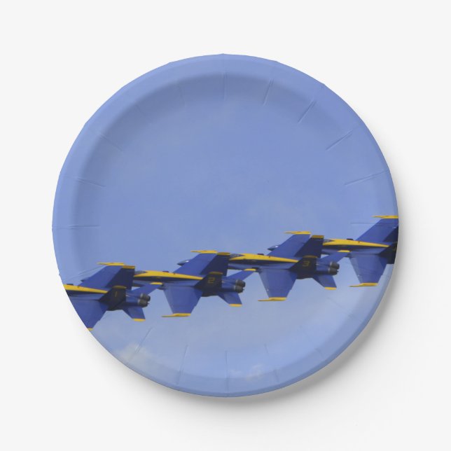 Air Show Paper Plate (Front)