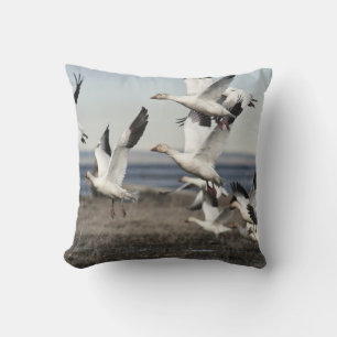 Airborne Snow Geese Cushion