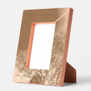 aircraft and tree on black etched frames