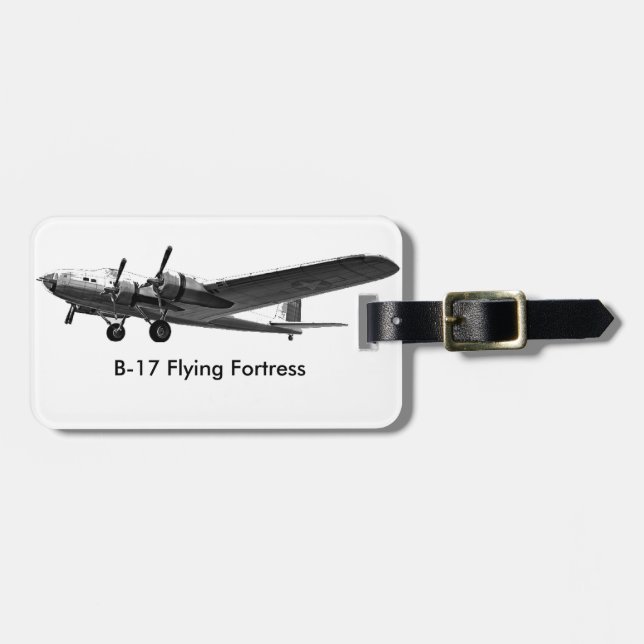 Aircraft image for Luggage-Tag Luggage Tag (Front Horizontal)