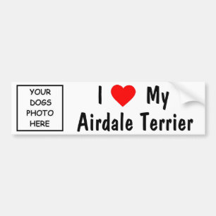 Airdale Terrier Bumper Sticker