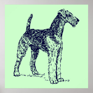 Airedale Dog Poster