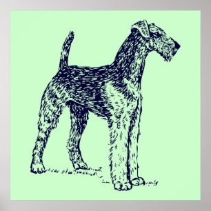 Airedale Dog Poster