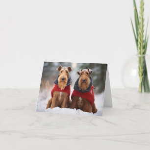 Airedale Dogs in Christmas Sweaters Card