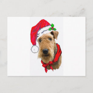 Airedale In Santa Hat Holiday Postcard