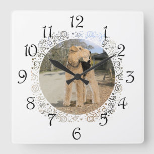 Airedale in the Stable Yard Square Wall Clock