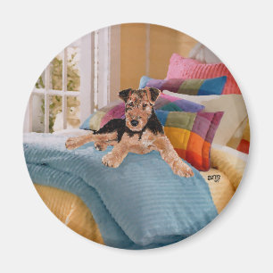 Airedale, Lakeland or Welsh Terrier Pup Magnet
