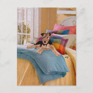 Airedale, Lakeland or Welsh Terrier Pup Postcard
