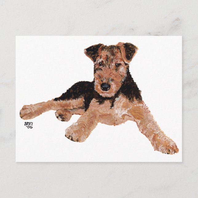 Airedale, Lakeland, Welsh Terrier Pup Postcard (Front)