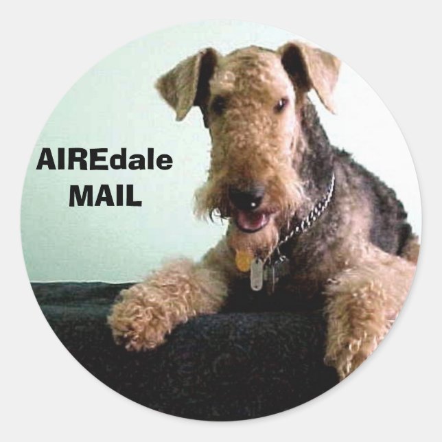 AIREdale MAIL Classic Round Sticker (Front)
