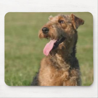 Airedale Mousepad