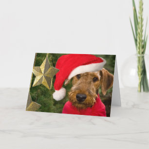 Airedale Season Greetings  card