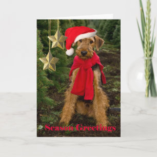 Airedale Season Greetings Holiday Card