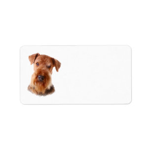 Airedale Terrier Address Label