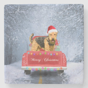 Airedale Terrier Dog in Snow sitting in Christmas  Stone Coaster